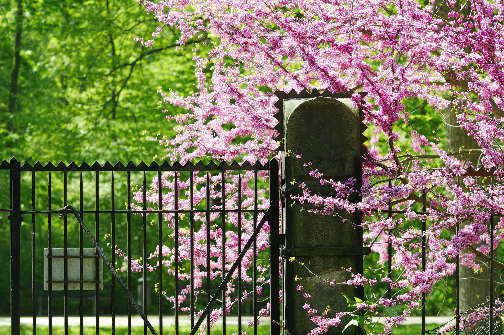 das Tor zum Garten Foto & Bild landschaft, jahreszeiten