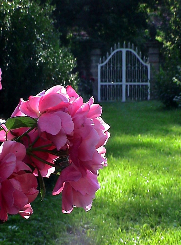 Das Tor zum Garten der Träume.