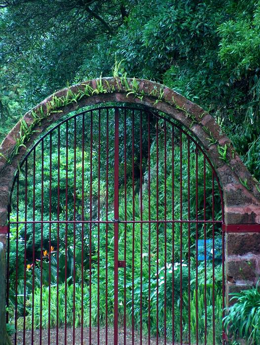 das Tor zum Garten Eden Foto & Bild landschaft, zäune
