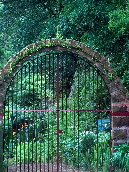 das Tor zum Garten Eden