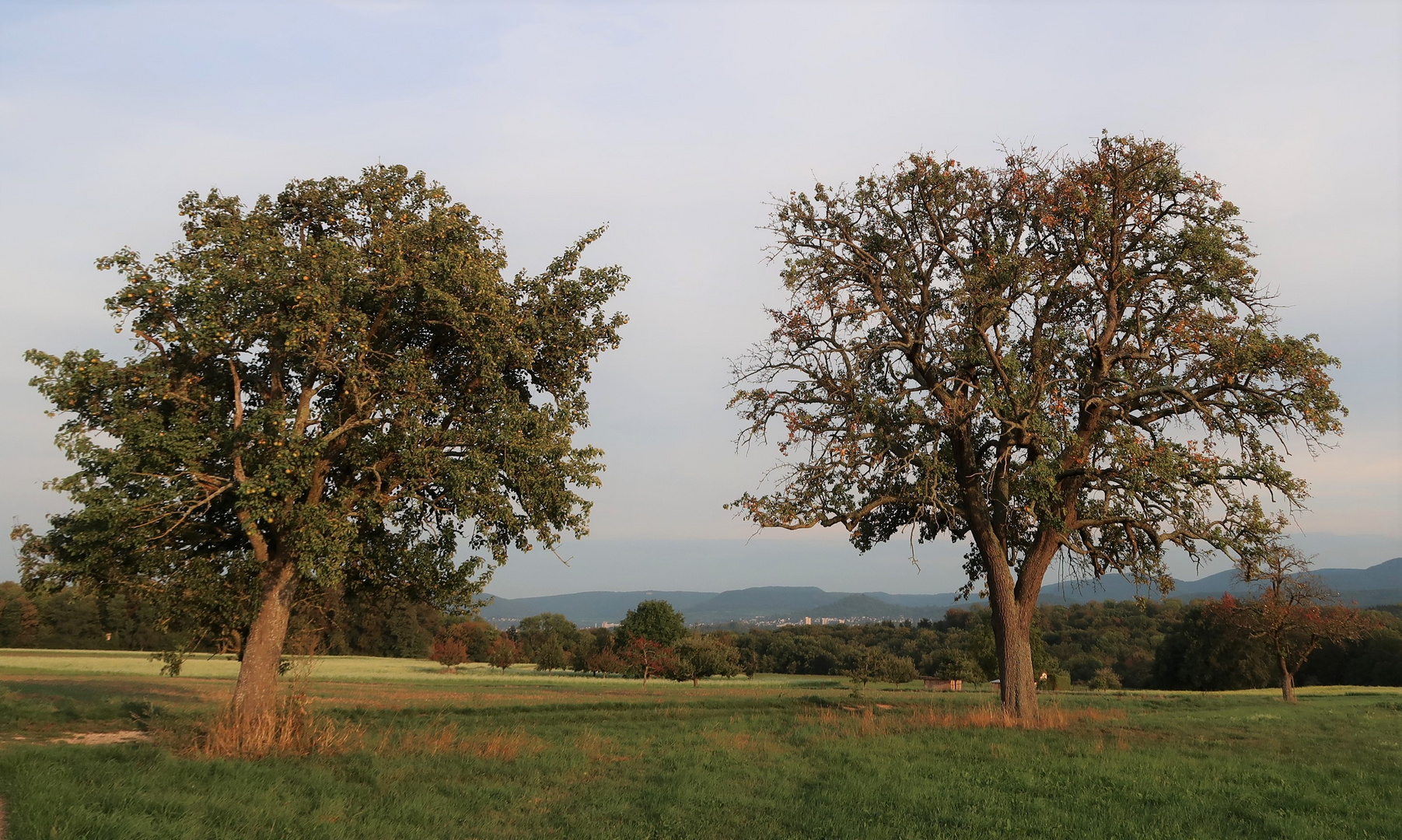 Das Tor zum Herbst