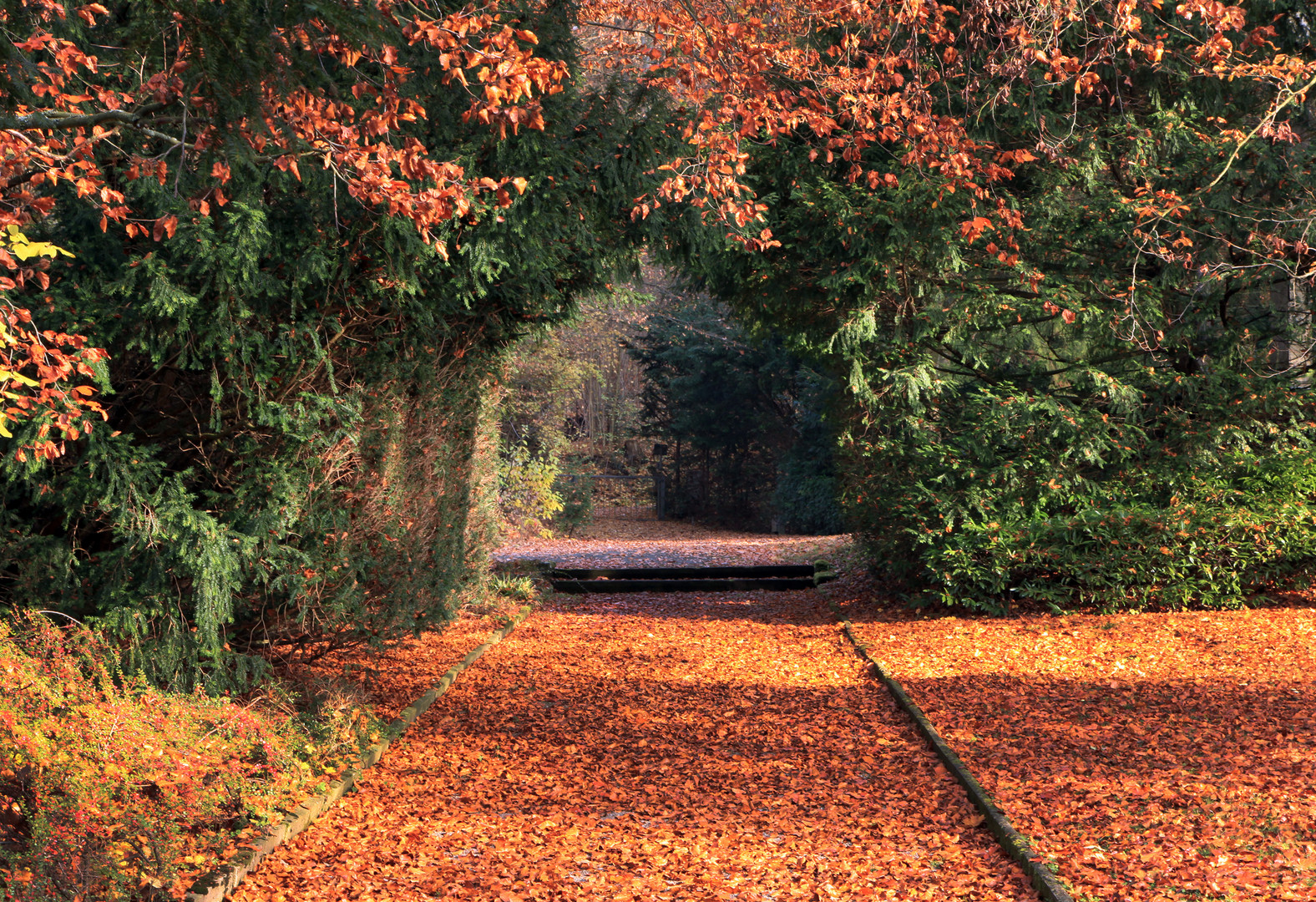 Das Tor zum Herbst