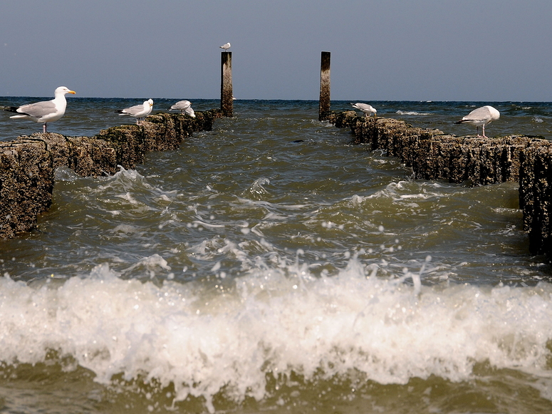 Das Tor zum Meer ...