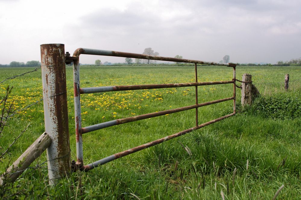 Das Tor zur grünen Wiese