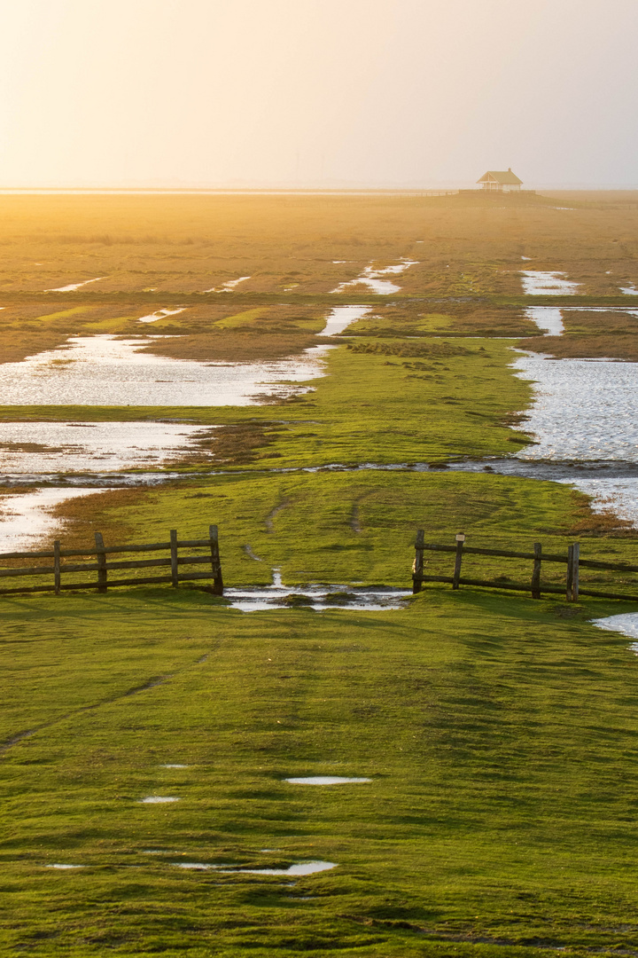 Das Tor zur Hallig