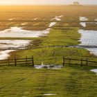 Das Tor zur Hallig