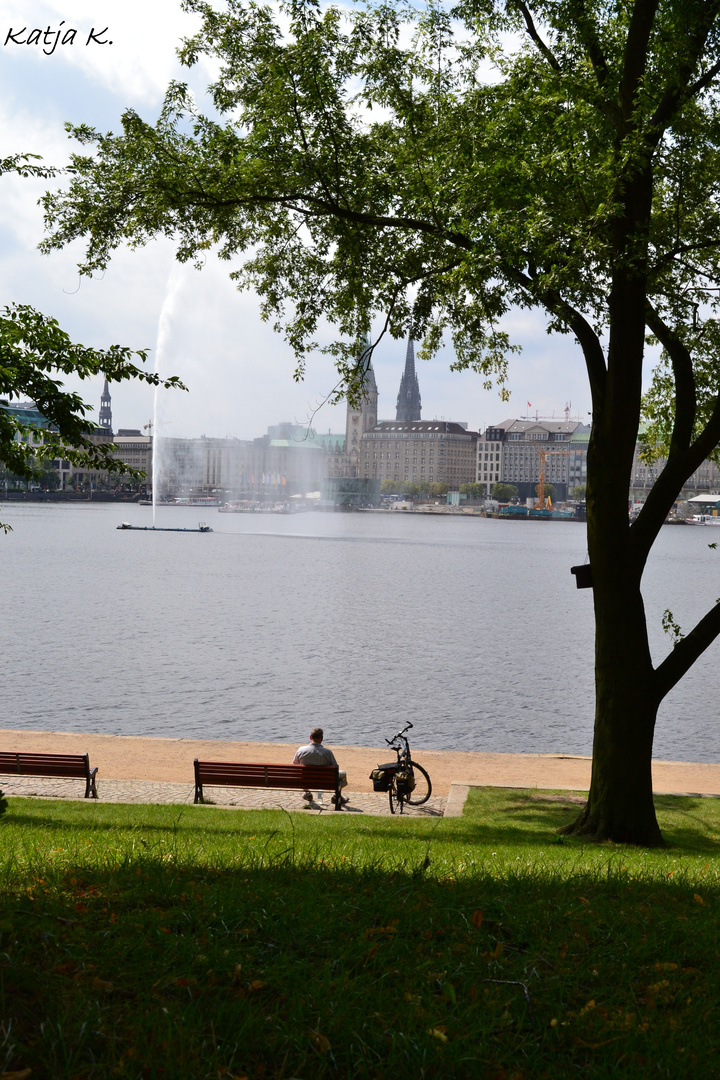 Das Tor zur Welt....die hamburgische Binnenalster