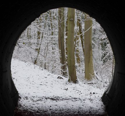 DAS TOR ZUR WINTERWELT