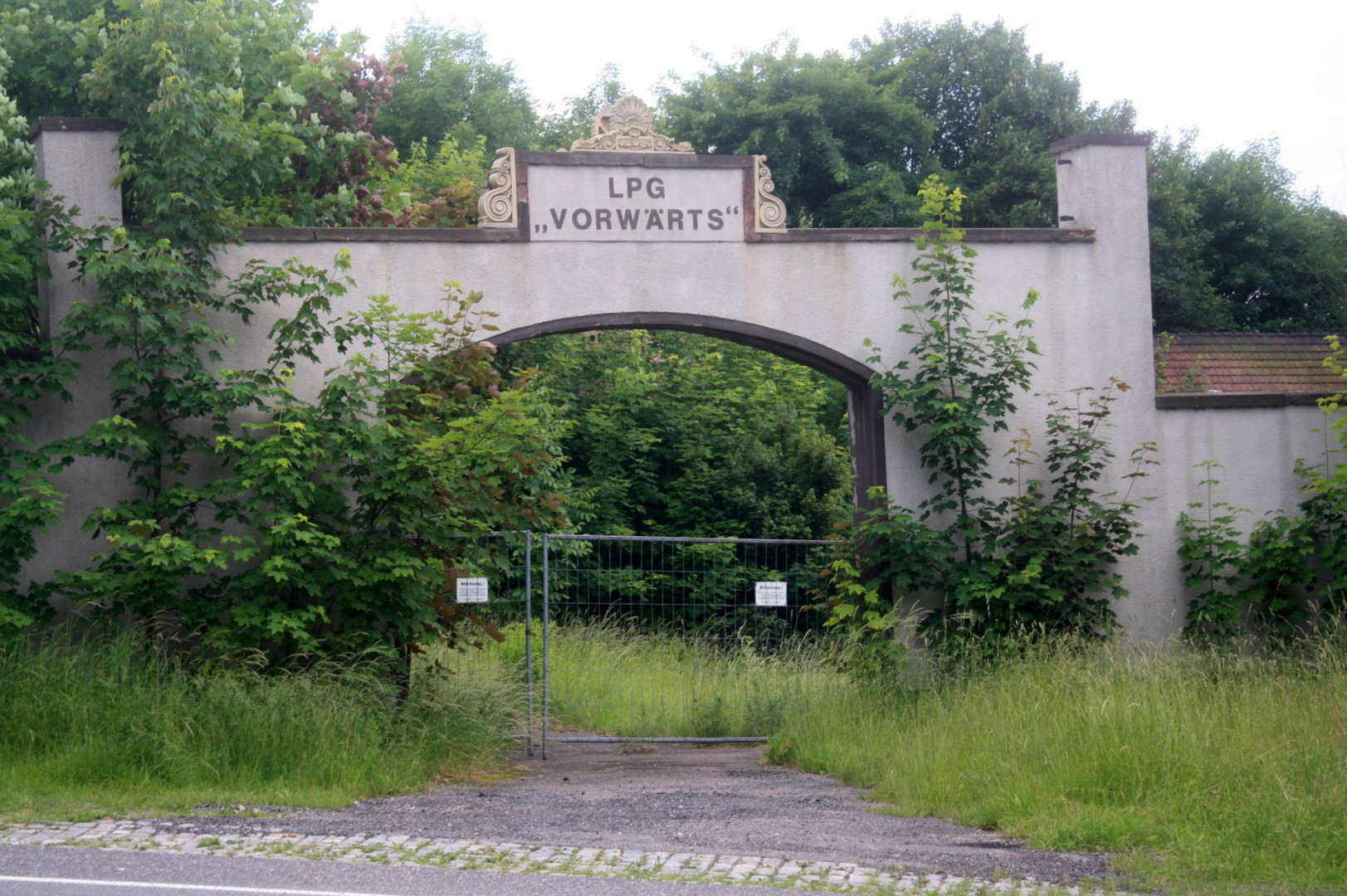 Das Tor zur Zukunft, oder die Natur kehrt zurück