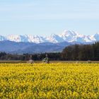 Das Tote Gebirge in Oberösterreich