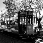 Das Tram von Soller