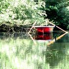 Das Treiben auf dem See.