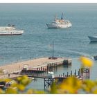 Das Trio vor Helgoland