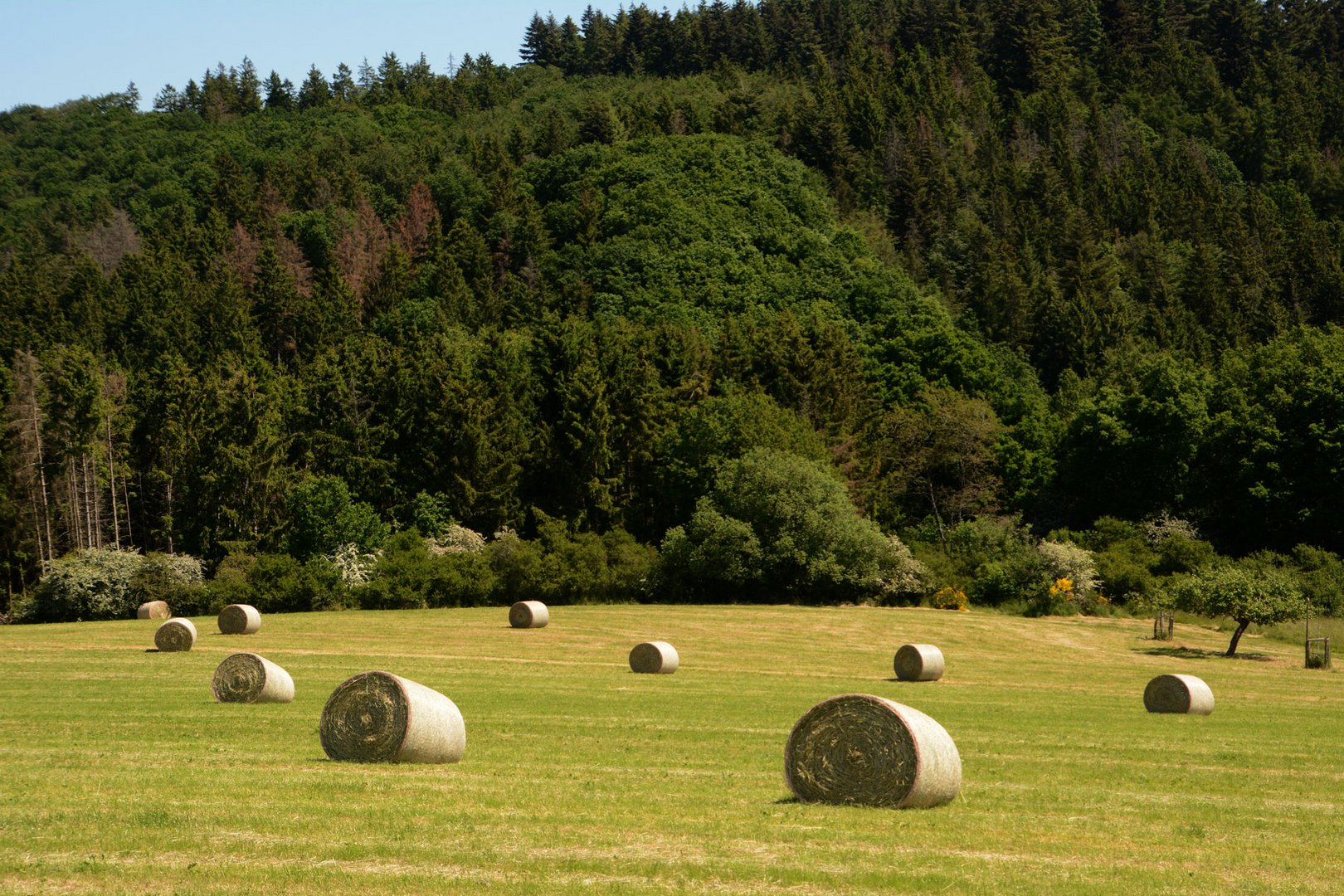 Das trockene Wetter lässt die Heuernte beginnen