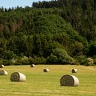 Das trockene Wetter lässt die Heuernte beginnen