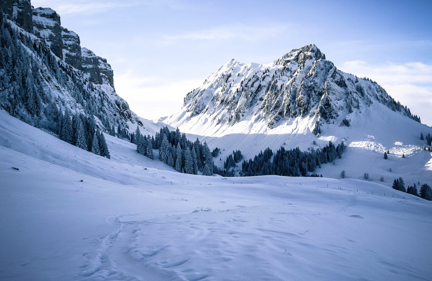 Das Trogenhorn