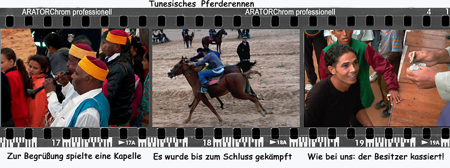 Das tunesische Pferderennen