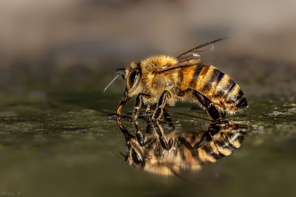 Das tut einfach nur guuut…