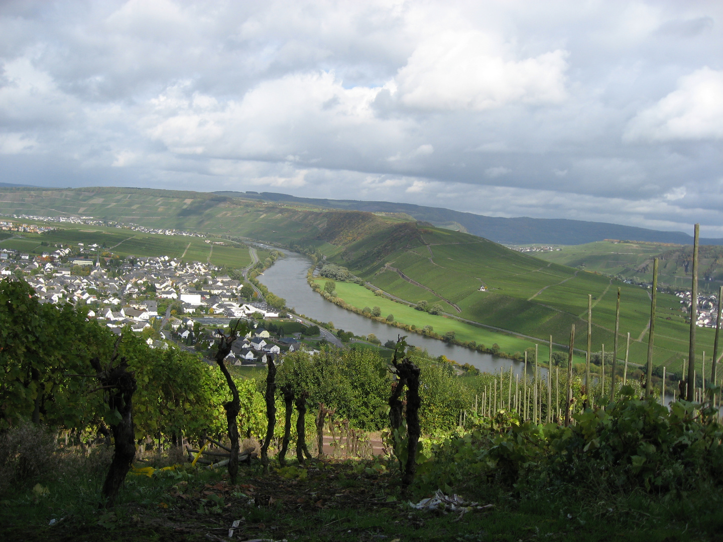 Das Typische Bild der Mosel