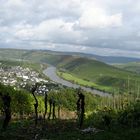 Das Typische Bild der Mosel