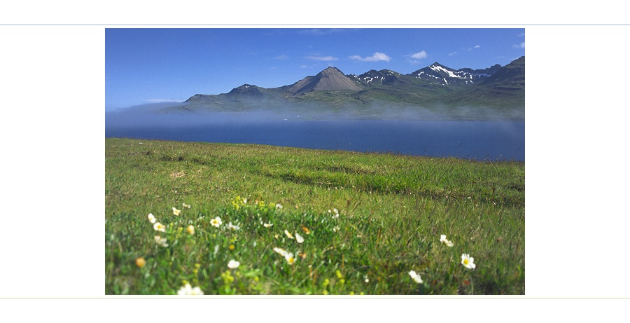 Das typische Bild der Ostfjorde