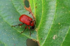 Das überraschte mich 