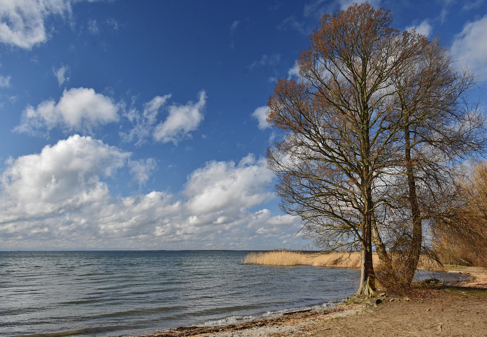 Das Ufer des Müritzsee.....