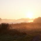 Das Ufo ist gelandet