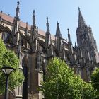 Das Ulmer Münster