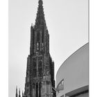 Das Ulmer Münster