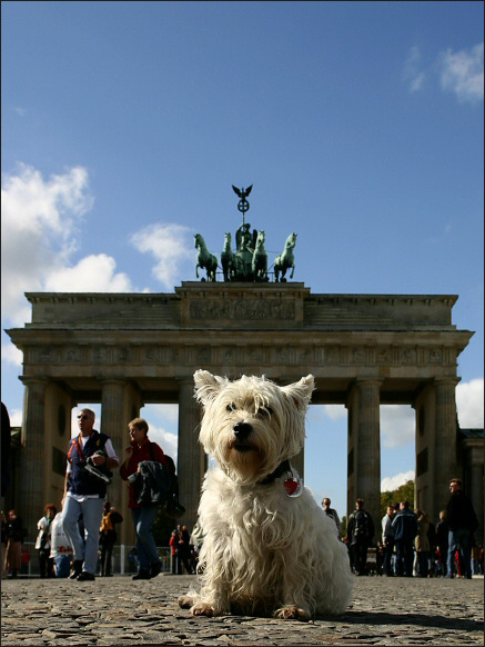 das ultimative Tourifoto