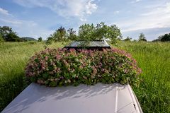 Das umweltfreundlichste Auto