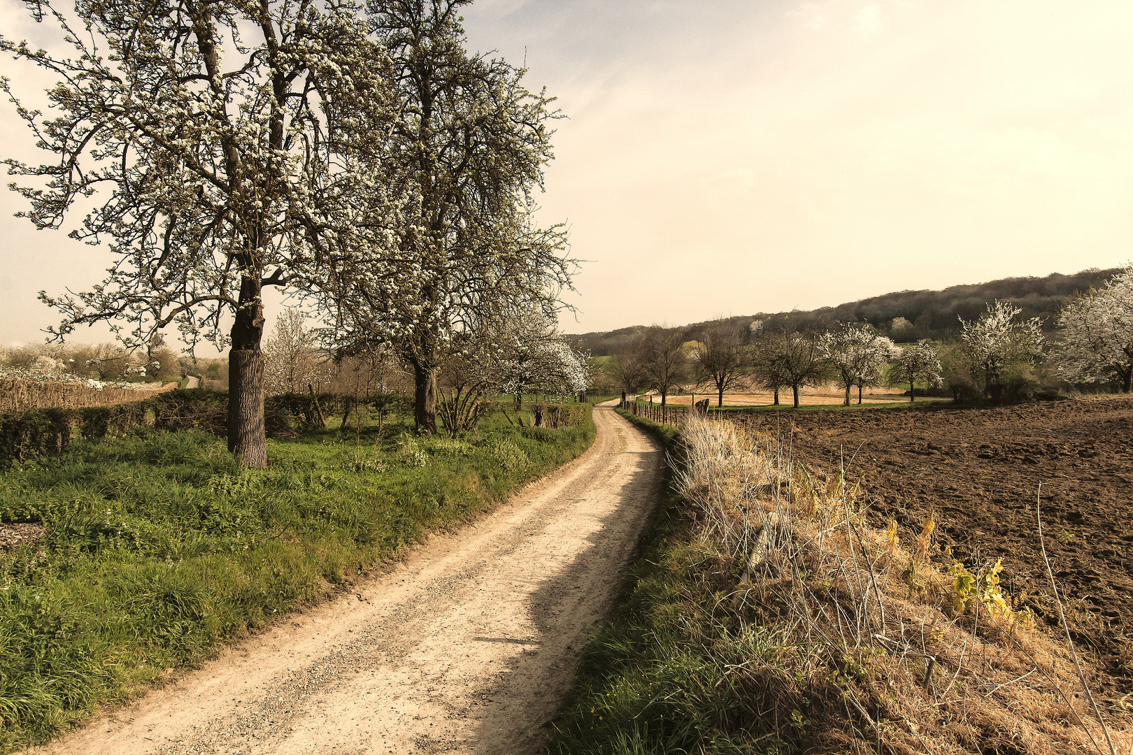 Das unbekannte Teil der niederländischen Landschaft