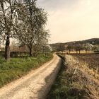 Das unbekannte Teil der niederländischen Landschaft