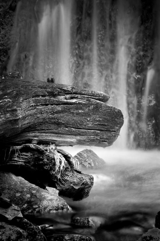 Das Ungeheuer am Wasserfall