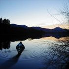 Das Ungeheuer vom Grüntensee