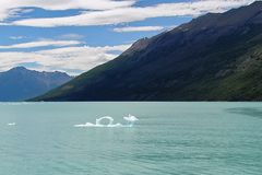 Das Ungeheuer vom Lago Argentino