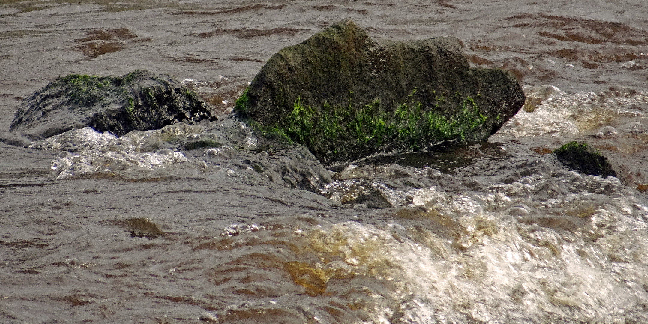 Das Ungeheuer von Loch Ness ...
