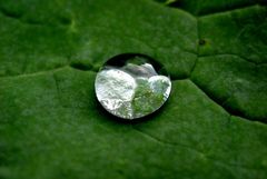 Das Universum auf dem Blatt.