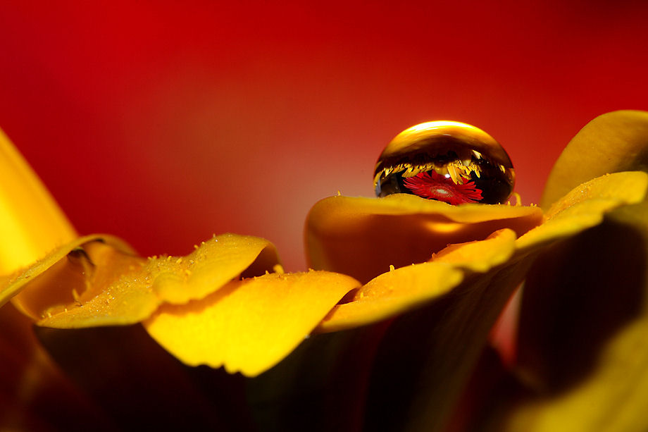 Das Universum in einem Wassertropfen