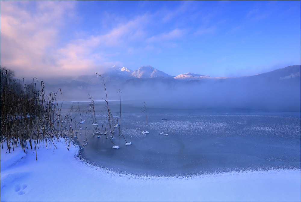 Das Unscheinbare am Ufer des Sees