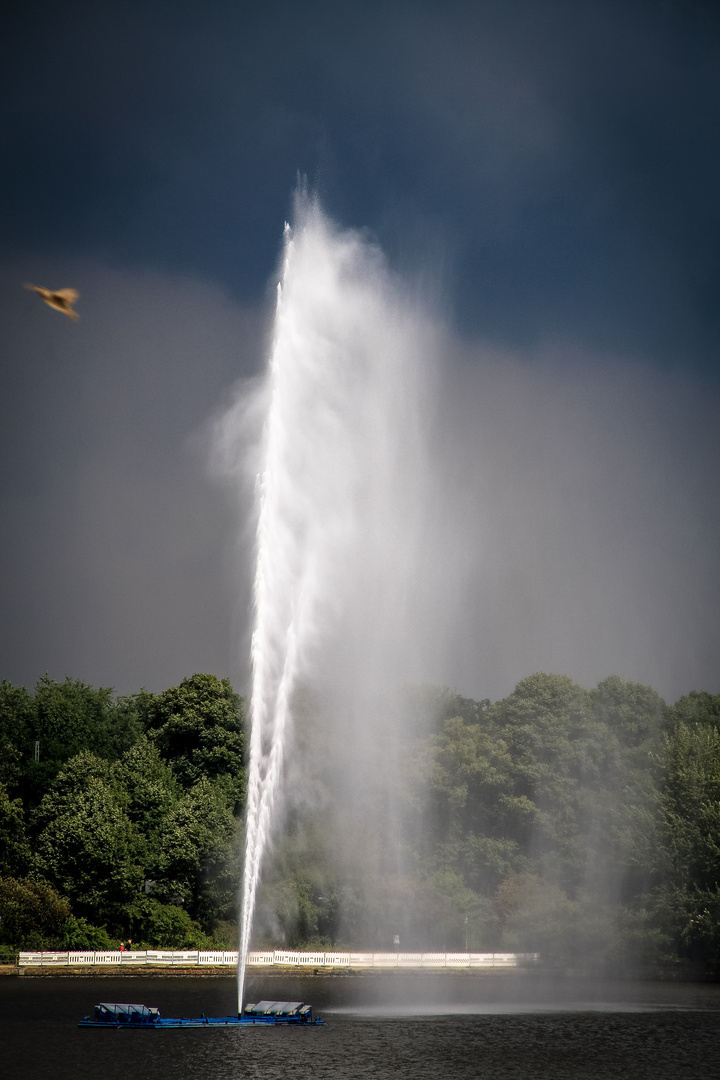 Das Unwetter naht