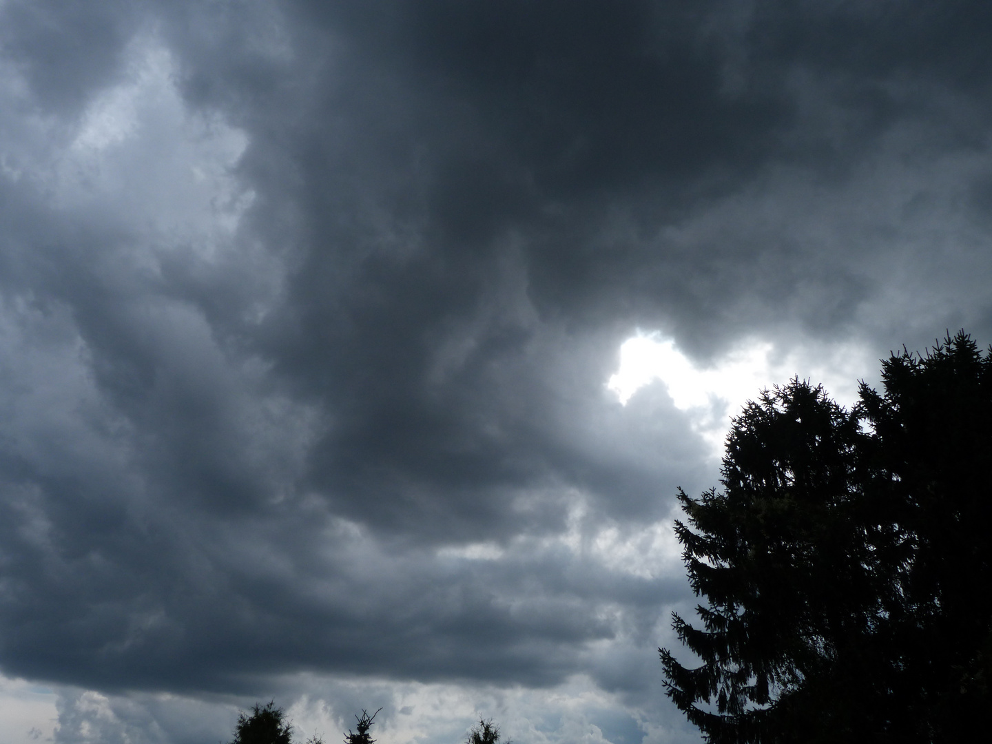 Das Unwetter naht, die Pferde laufen schon davon