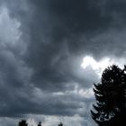 Das Unwetter naht, die Pferde laufen schon davon