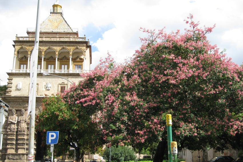 Das Urbild vom Stadttor "Porta Nuova " in Palermo