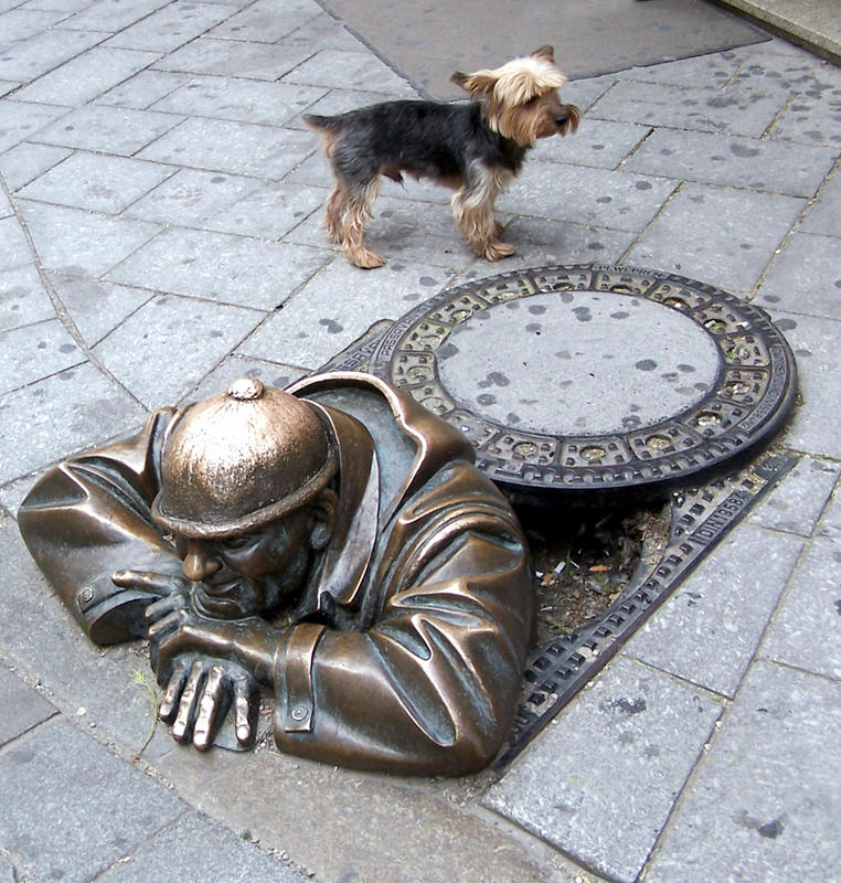 ...das ust im Bratislava - aber der Hund ist wieder home...