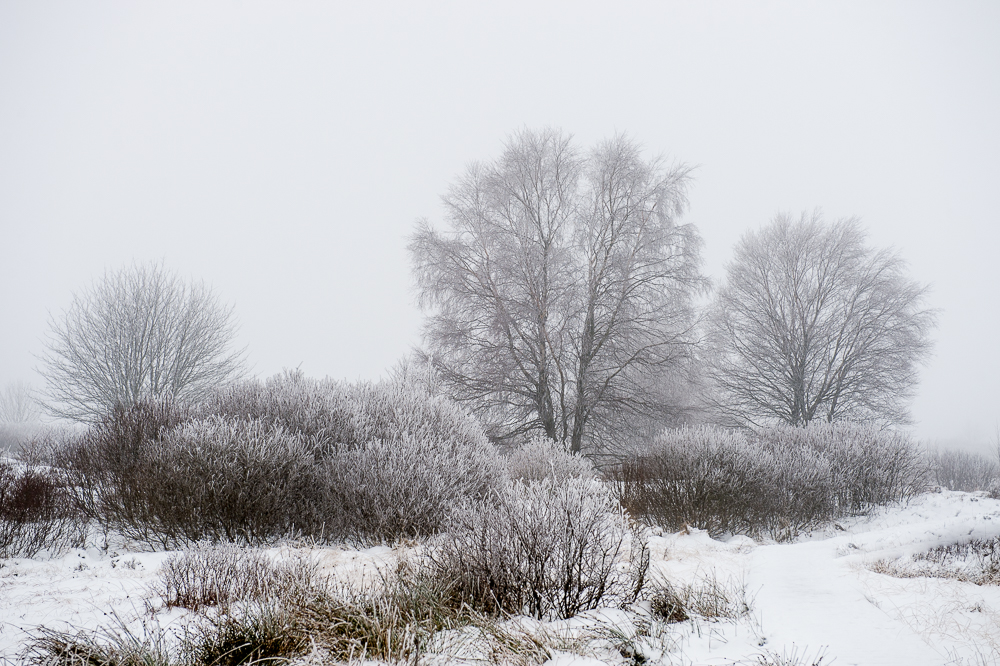 Das Venn - winterliche Innenansicht