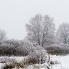 Das Venn - winterliche Innenansicht