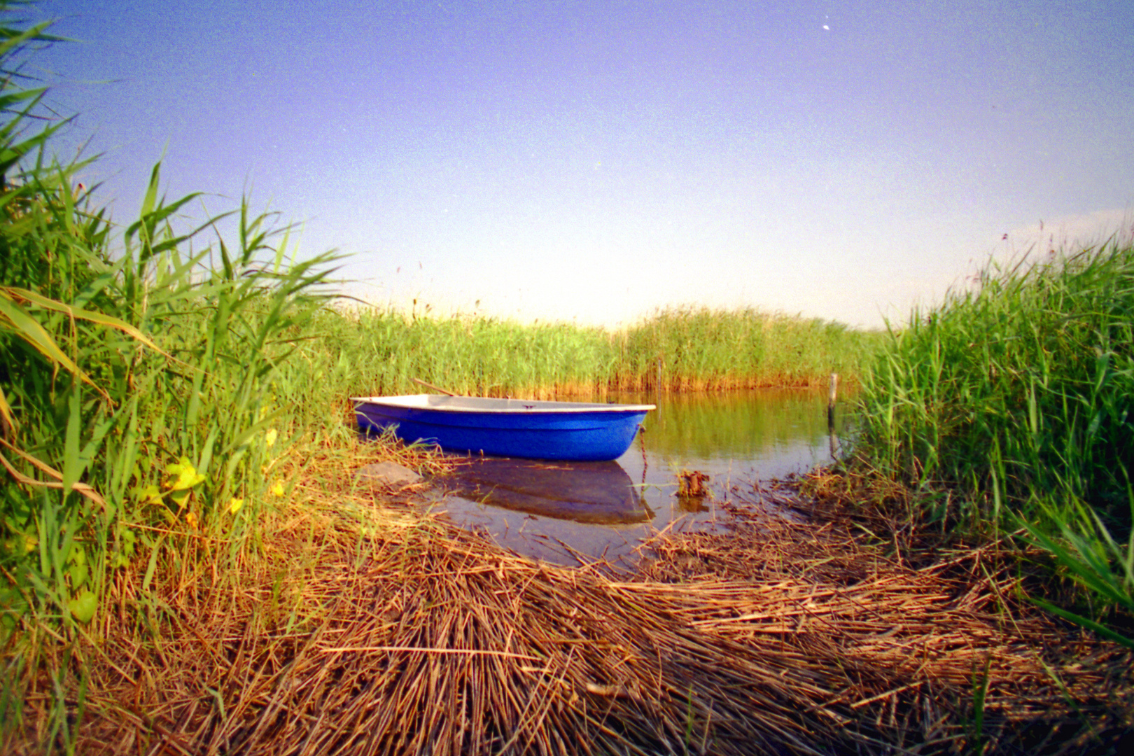 Das vergessene Boot Foto & Bild landschaft, bach, fluss & see, see