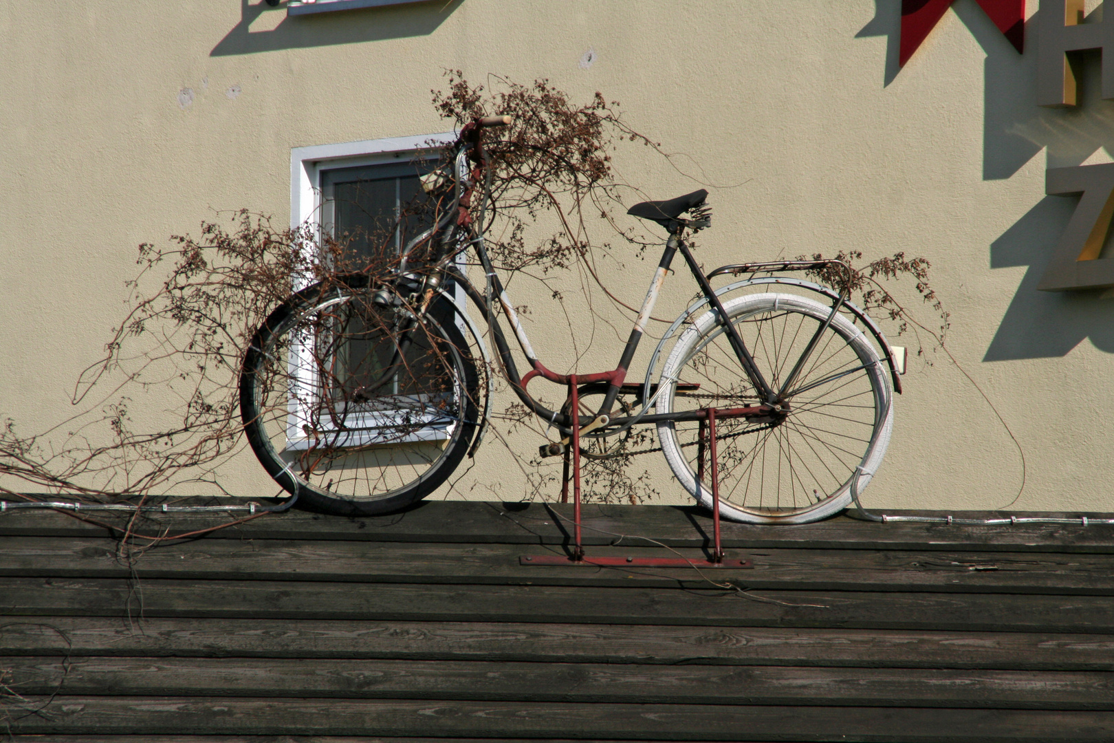 Das vergessene Fahrrad